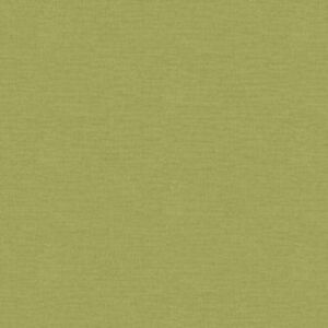 Závěs dekorační nebo látka, OXY Plátno, zelený, 150 cm 150 cm