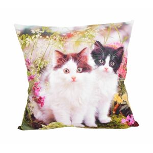 Fotopolštář, Dvě kočičky na louce, 40 x 40 cm
